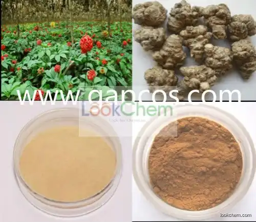 80% Notoginsenosides Radix Notoginseng extract