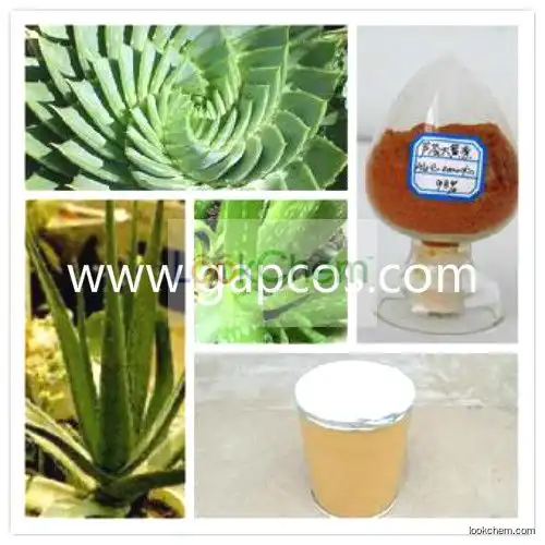 Aloe Vera Gel Extract,40%- 98% Barbaloin HPLC