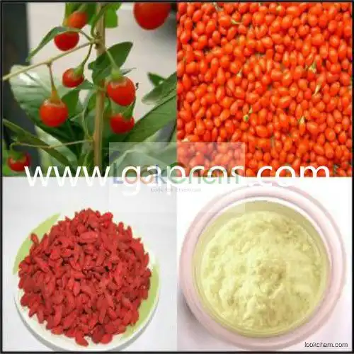 Wolfberry Fruit P.E. Goji Berry Extract