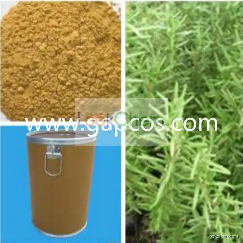 Rosemary leaf Extract Carnosic acid