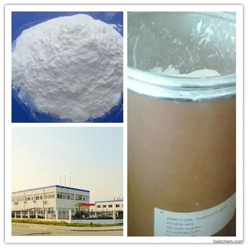 pharmaceutical grade Methyl cellulose(9004-67-5)