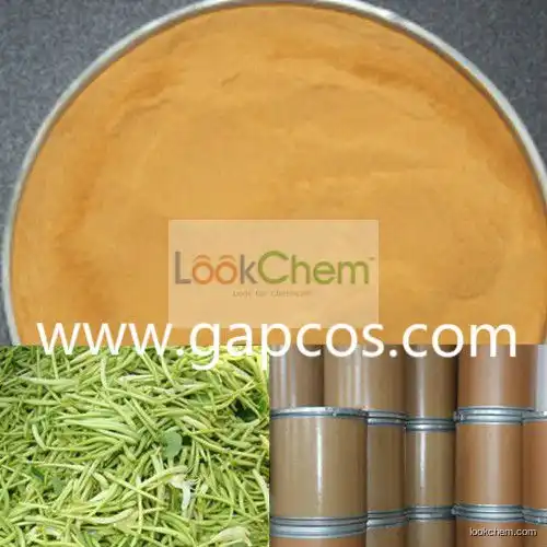 25% Chlorogenic acids Natural Honeysuckle Extract