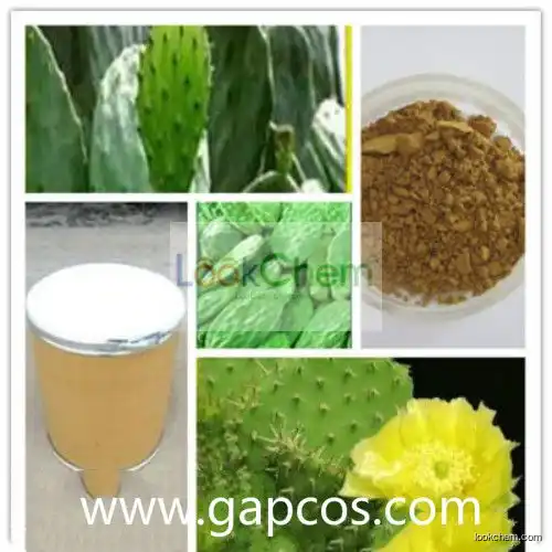 Weight control powder Cactus Extract