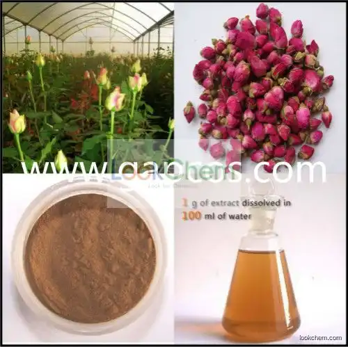 Rose Essential Oil 100% Pure