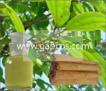 Original cinnamon leaf oil