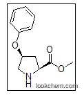 (2S,4S)-methyl 4-phenoxypyrrolidine-2-carboxylate