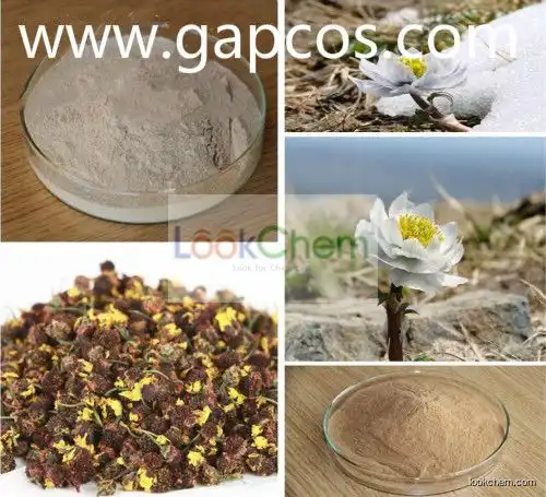 Natural Snow Saussurea Extract