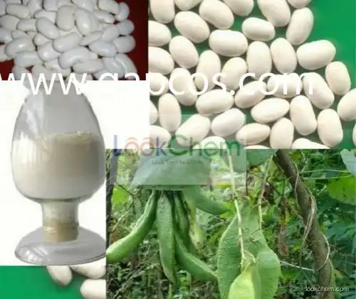 2015 Hot sell White Kidney Bean Extract 1%,2% Phaseolamin