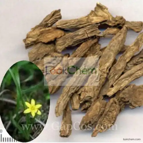 Common Curculigo Rhizoome Extract--XIAN MAO