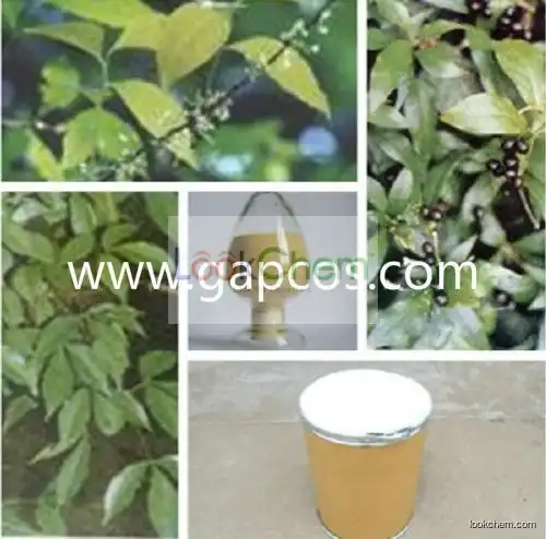 100% Natural Rauwolfia serpentina extract