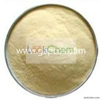 20%-95% Pine Needle Extract Ropren