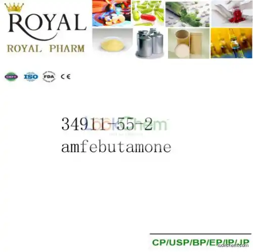 amfebutamone CAS34911-55-2