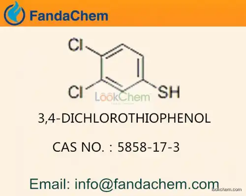 3,4-Dichlorothiophenol / C6H4Cl2S  cas  5858-17-3