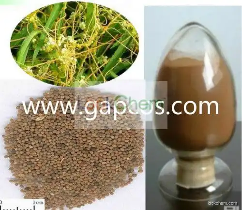 Natural herb medicine dodder seed extract