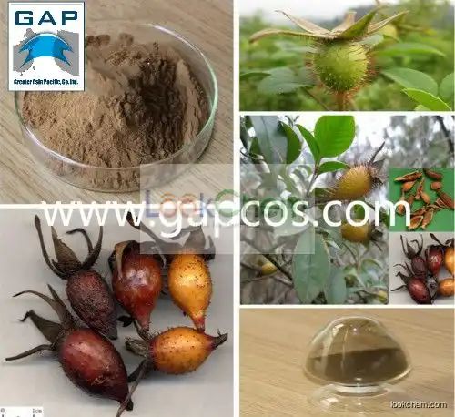 Natural Rose Hips Extract Cherokee Rose Fruit Extract
