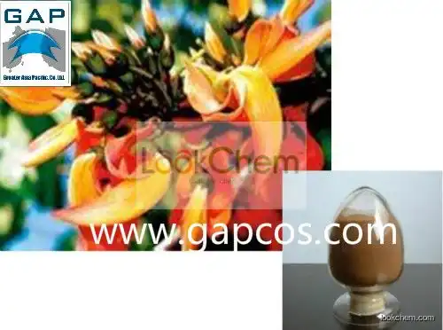 herbal sex products butea superba extract 4:1,10:1,20:1