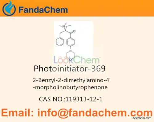 Photoinitiator 369(Omnirad 369;Irgacure 369) CAS: 119313-12-1 from FandaChem