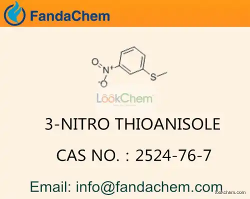3-Nitrothioanisole cas  2524-76-7 (Fandachem)