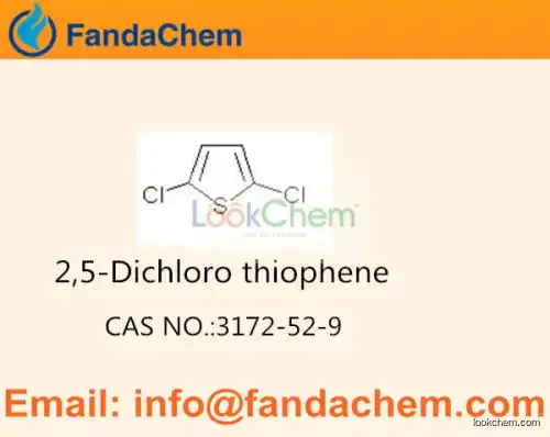 2,5-Dichlorothiophene ,2,5-Dichloro thiophene,cas no  3172-52-9