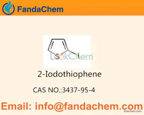 2-Iodothiophene cas no  3437-95-4