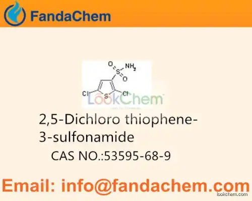 2,5-Dichlorothiophene-3-sulfonamide cas  53595-68-9