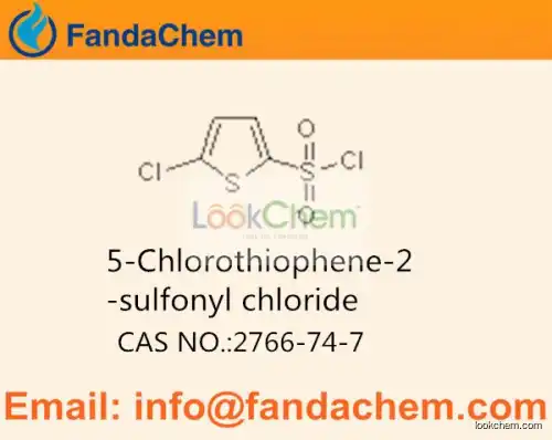 5-Chlorothiophene-2-sulfonyl chloride cas  2766-74-7