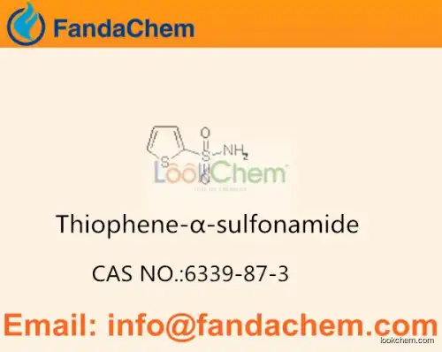 Thiophene-2-sulfonamide，Thiophene-α-sulfonamide， cas no  6339-87-3