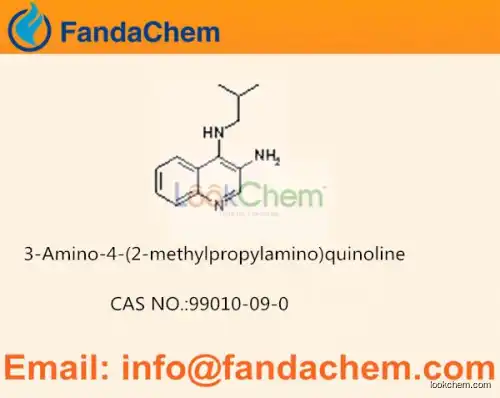 3-Amino-4-(2-methylpropylamino)quinoline cas  99010-09-0 (Fandachem)