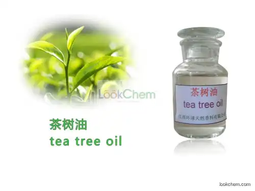 Natural Tea Tree Oil bactericide,tea tree essential oil,Melaleuca alternifolia Oil