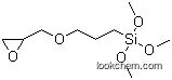 SCA-E87M 3-Glycidoxypropyl-Trimethoxysilane (CAS No. 2530-83-8)