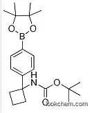 Carbamic acid, N-[1-[4-(4,4,5,5-tetramethyl-1,3,2-dioxaborolan-2-yl)phenyl]cyclobutyl]-, 1,1-dimethylethyl ester