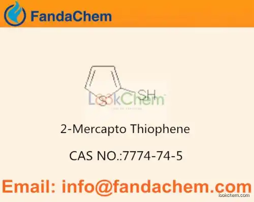 Thiophenethiol cas  7774-74-5 (Fandachem)