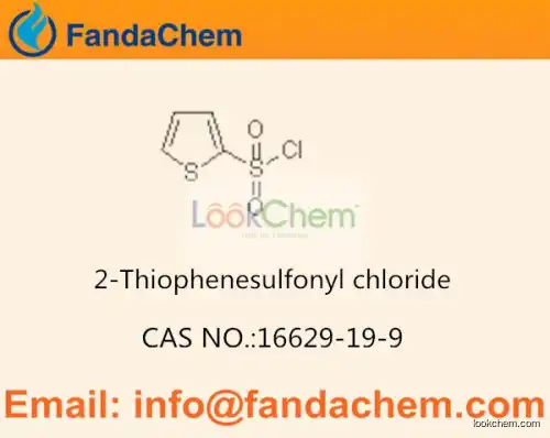 2-Thiophenesulfonyl chloride cas  16629-19-9 (Fandachem)
