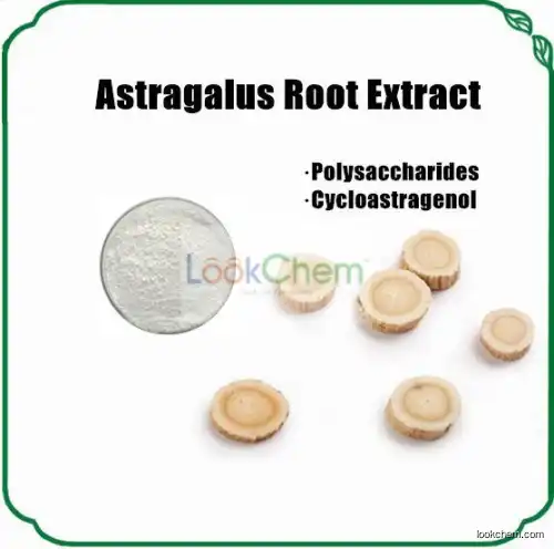 Natural Astragalus Cycloastragenol Powder(84605-18-5)