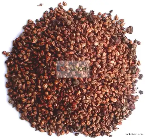 Grape seed extract(84929-27-1)