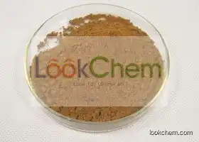 Ganoderma lucidum extract