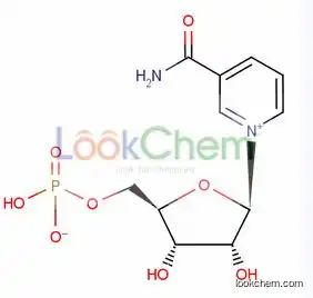 Antiaging Nicotinamide Mononucleotide CAS No. 1094-61-7
