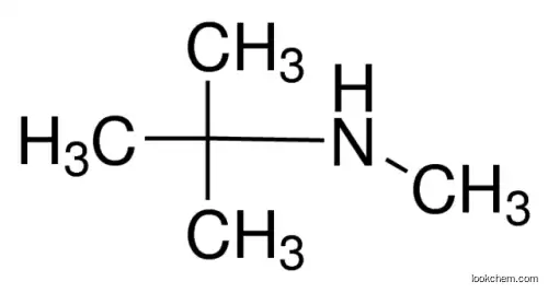 N-tert-Butylmethylamine(14610-37-8)