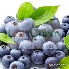 herbal supplement plant extract acai berry extract