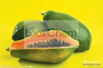 papaya seed powder 100% Pure papain Activity