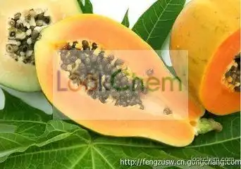 papaya seed powder 100% Pure papain Activity