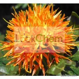 Pure Safflower Extract Carthamin 2% by HPLC