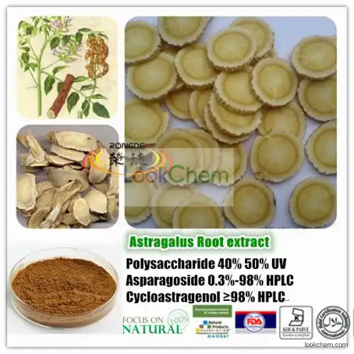 Natural Astragalus Astragaloside IV Powder
