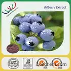 Top quality plant extracts China manufacturer supply bilberry extract 10% anthocyanidin