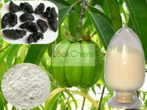 garcinia extract /plant extract garcinia cambogia extract powder /garcinia cambogia extract hca 50% 60% 95% products