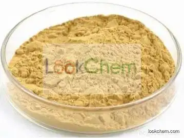 ginseng extract active pharmaceutical ingredient Panaxoside 80% natural panaxoside powderCAS No: 90045-38-8