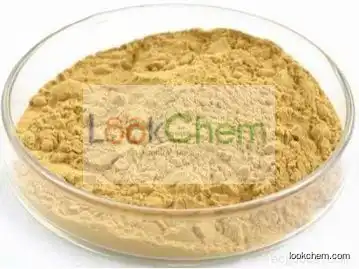 Gynostemma Pentaphyllum(Thunb)Makino Active Ingredients GypenosideCas No.80321-63-7