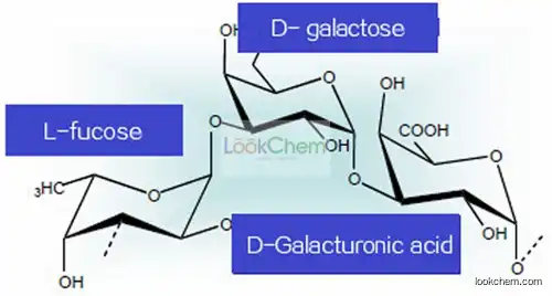 Water, Biosaccharide gum-1