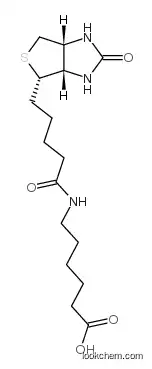 6-[5-[(3as,4s,6ar)-2-oxo-1,3,3a,4,6,6a-hexahydrothieno[3,4-d]imidazol-4-yl]pentanoylamino]hexanoic Acid