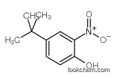 4-tert-butyl-2-nitrophenol